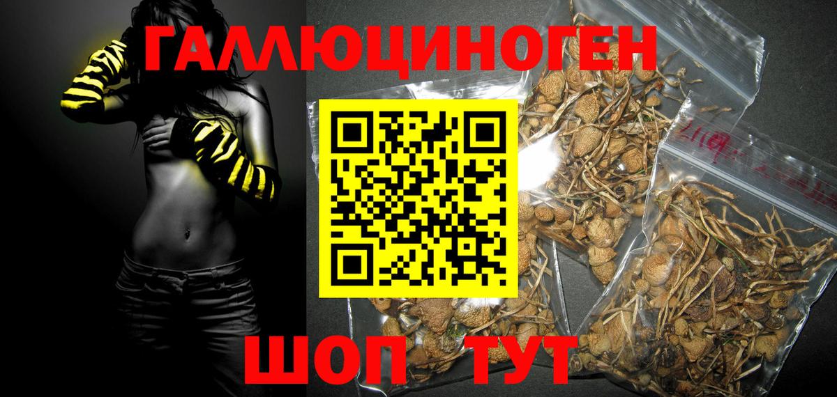 Галлюциногенные грибы GOLDEN TEACHER  Вход с VPN  Ноябрьск 