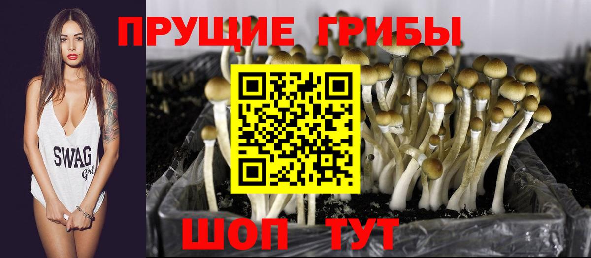 Галлюциногенные грибы ЛСД Ноябрьск